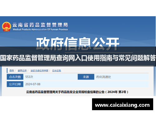 国家药品监督管理局查询网入口使用指南与常见问题解答 国家药品监督管理局查询网入口使用指南与常见问题解答